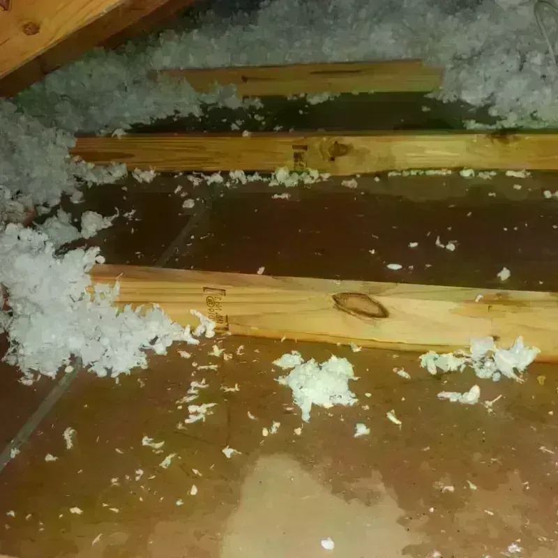 Attic Water Damage in Rutherford County, TN