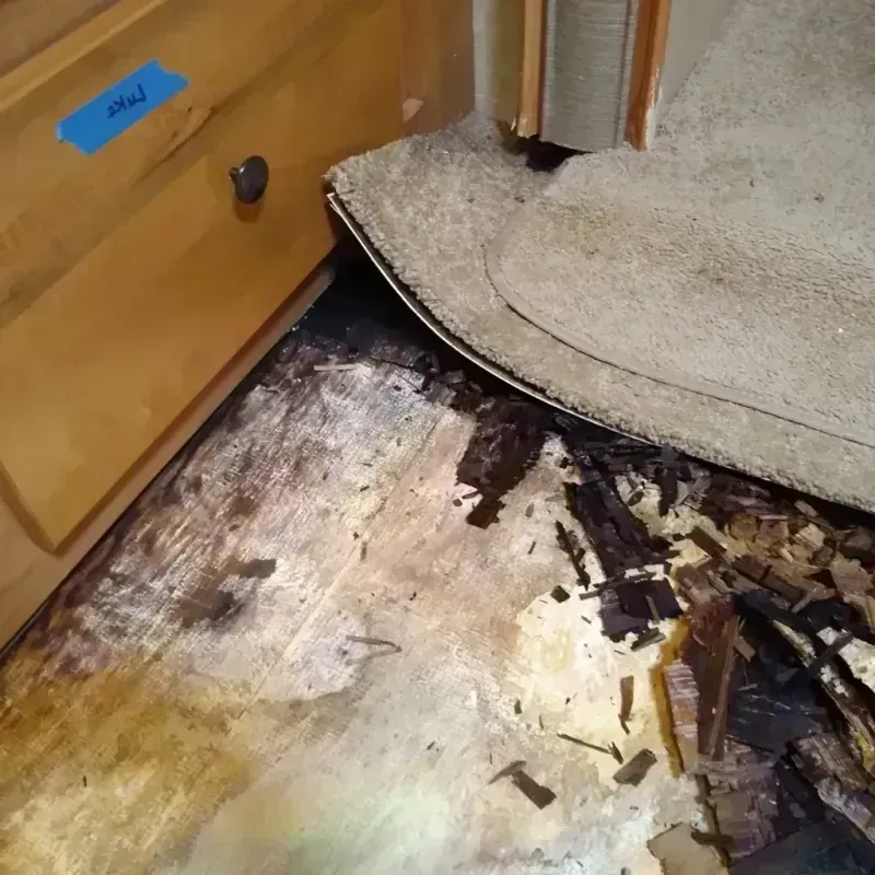 Wood Floor Water Damage in Rutherford County, TN